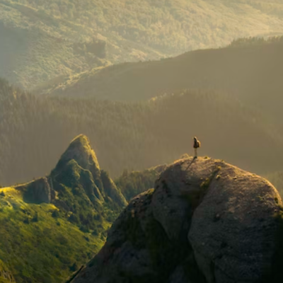 Buscando al desconocido