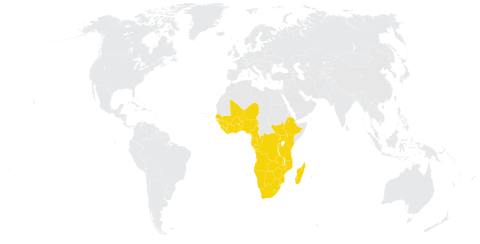 RÉGION AFRIQUE: FAITS SAILLANTS QUADRIENNAUX