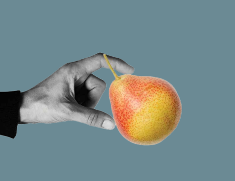 More Where That Came From