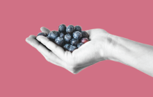 Nada nuevo bajo el sol, hasta que llegó Jesús.